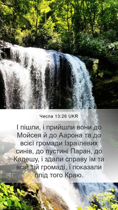 Числа 13:26 UKR Bible Verse Image