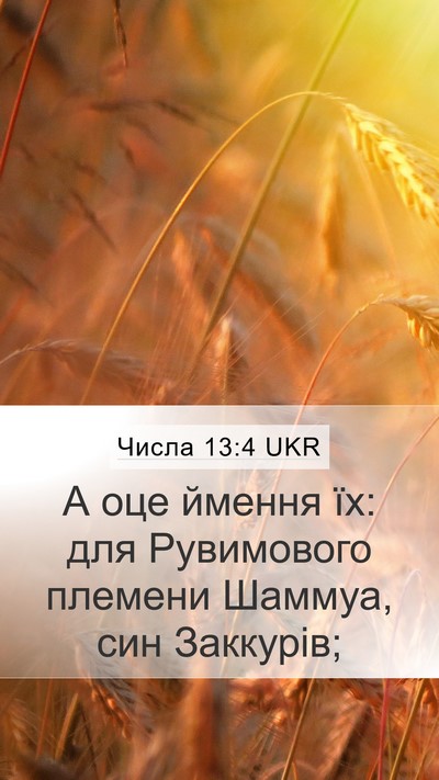Числа 13:4 UKR Mobile Phone Wallpaper - А оце ймення їх: для - Mobile Bible Verse Wallpaper