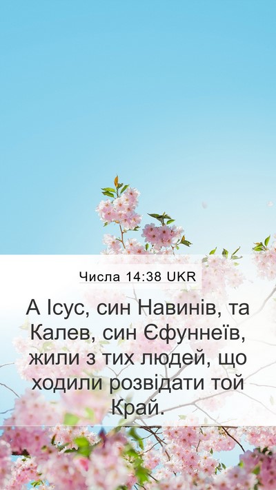 Числа 14:38 UKR Bible Verse Image