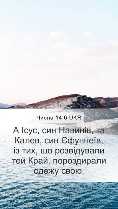 Числа 14:6 UKR Bible Verse Image