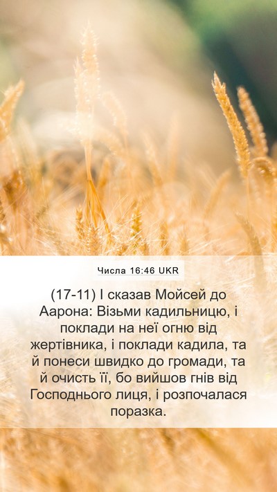 Числа 16:46 UKR Bible Verse Image
