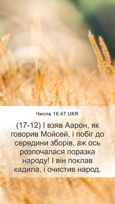 Числа 16:47 UKR Mobile Phone Wallpaper - (17-12) І взяв Аарон, як - Mobile Bible Verse Wallpaper