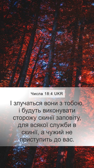Числа 18:4 UKR Bible Verse Image
