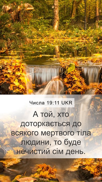 Числа 19:11 UKR Bible Verse Image