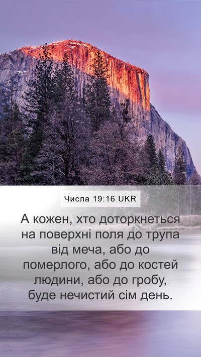 Числа 19:16 UKR Bible Verse Image
