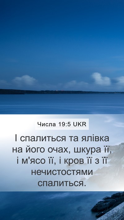 Числа 19:5 UKR Mobile Phone Wallpaper - І спалиться та ялівка на - Mobile Bible Verse Wallpaper