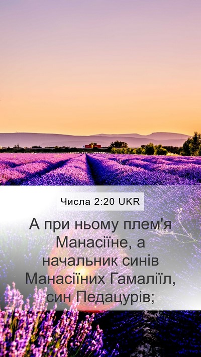 Числа 2:20 UKR Bible Verse Image