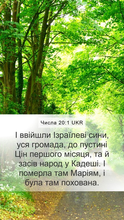 Числа 20:1 UKR Bible Verse Image