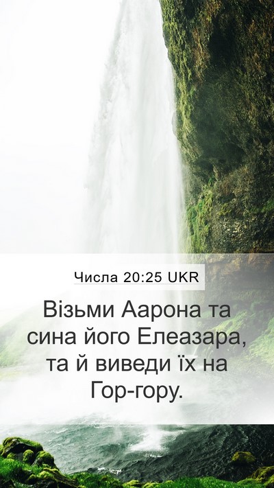 Числа 20:25 UKR Bible Verse Image