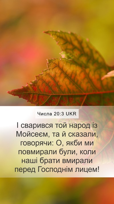 Числа 20:3 UKR Bible Verse Image
