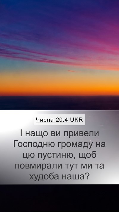 Числа 20:4 UKR Bible Verse Image