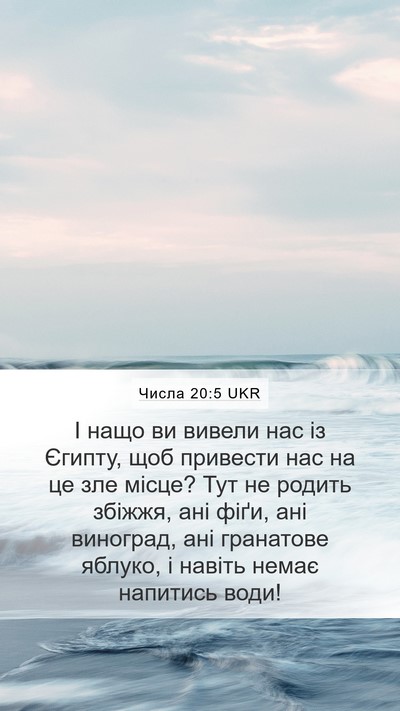 Числа 20:5 UKR Mobile Phone Wallpaper - І нащо ви вивели нас із - Mobile Bible Verse Wallpaper