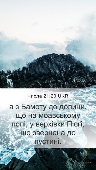 Числа 21:20 UKR Bible Verse Image