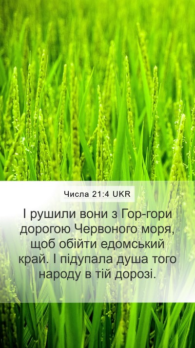 Числа 21:4 UKR Bible Verse Image