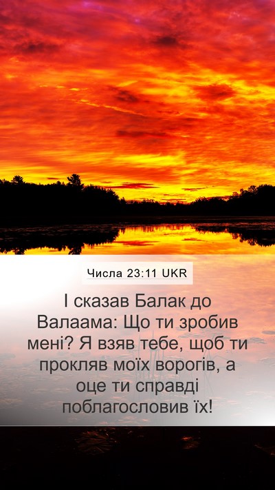 Числа 23:11 UKR Bible Verse Image