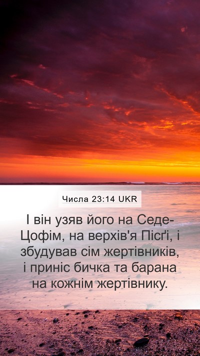 Числа 23:14 UKR Bible Verse Image