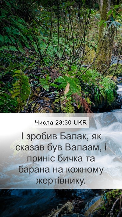 Числа 23:30 UKR Bible Verse Image