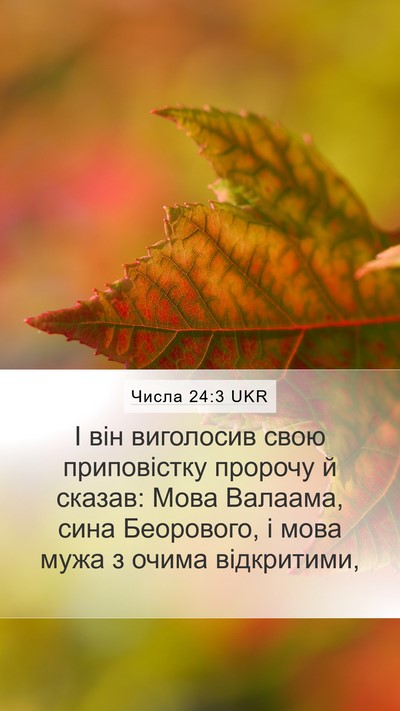 Числа 24:3 UKR Bible Verse Image