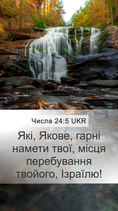 Числа 24:5 UKR Bible Verse Image