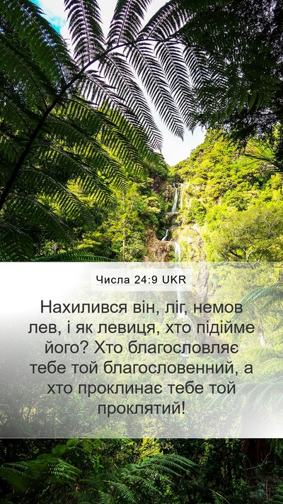 Числа 24:9 UKR Bible Verse Image