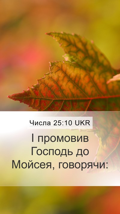 Числа 25:10 UKR Mobile Phone Wallpaper - І промовив Господь до - Mobile Bible Verse Wallpaper