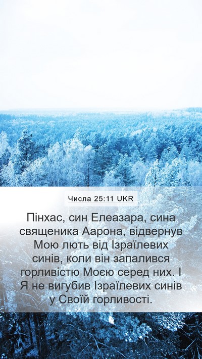 Числа 25:11 UKR Bible Verse Image