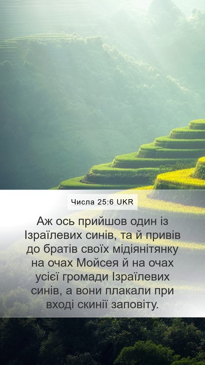 Числа 25:6 UKR Bible Verse Image