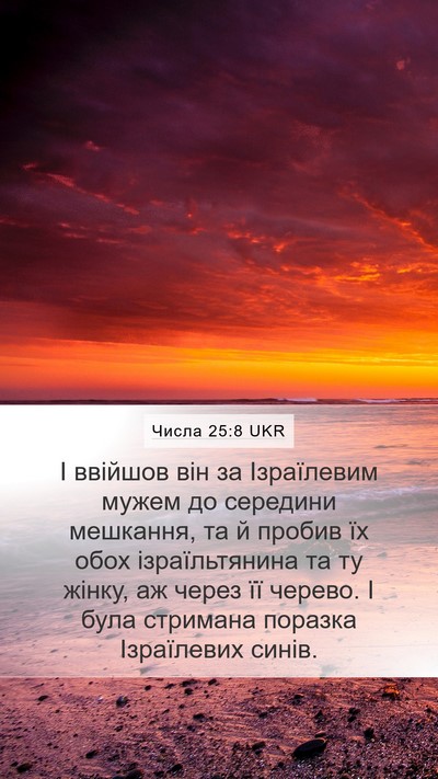 Числа 25:8 UKR Bible Verse Image