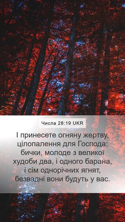 Числа 28:19 UKR Bible Verse Image