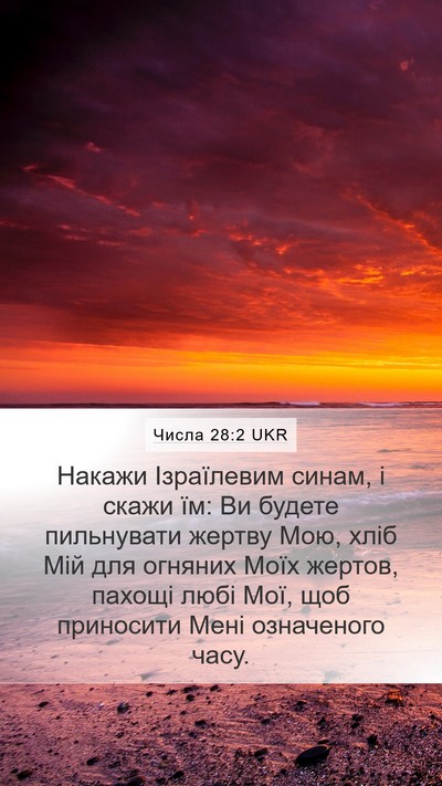 Числа 28:2 UKR Mobile Phone Wallpaper - Накажи Ізраїлевим синам, і - Mobile Bible Verse Wallpaper