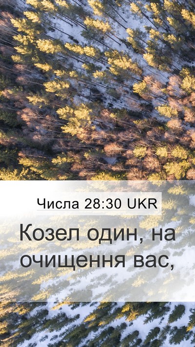 Числа 28:30 UKR Bible Verse Image