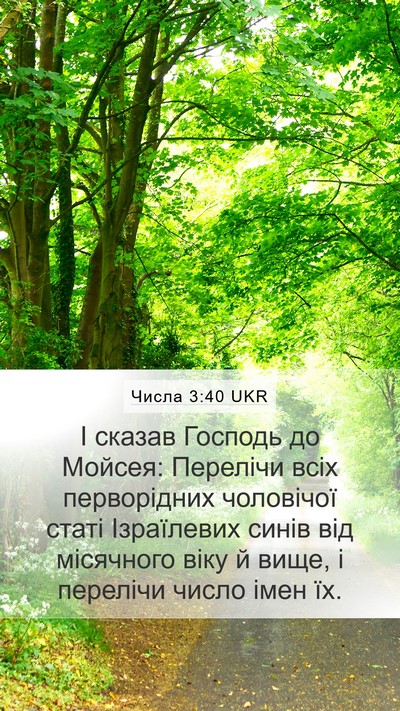 Числа 3:40 UKR Bible Verse Image