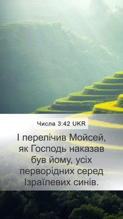 Числа 3:42 UKR Mobile Phone Wallpaper - І перелічив Мойсей, як - Mobile Bible Verse Wallpaper