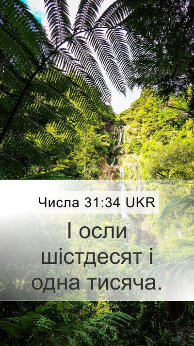 Числа 31:34 UKR Mobile Phone Wallpaper - І осли шістдесят і одна - Mobile Bible Verse Wallpaper