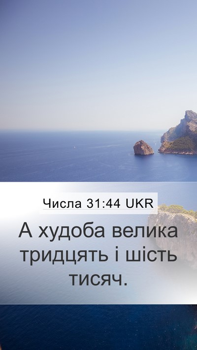 Числа 31:44 UKR Mobile Phone Wallpaper - А худоба велика тридцять і - Mobile Bible Verse Wallpaper