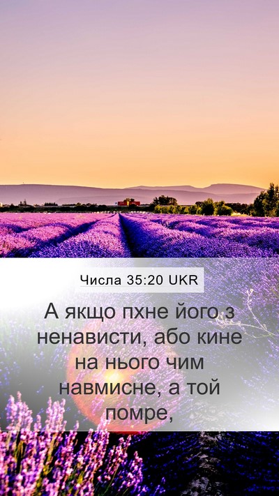 Числа 35:20 UKR Mobile Phone Wallpaper - А якщо пхне його з - Mobile Bible Verse Wallpaper