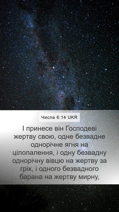 Числа 6:14 UKR Mobile Phone Wallpaper - І принесе він Господеві - Mobile Bible Verse Wallpaper