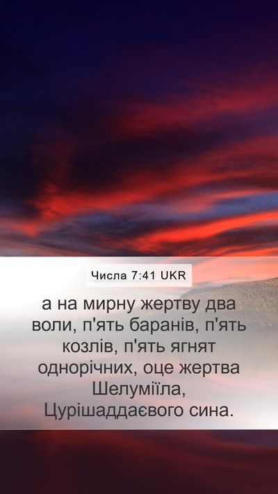 Числа 7:41 UKR Mobile Phone Wallpaper - а на мирну жертву два воли, - Mobile Bible Verse Wallpaper