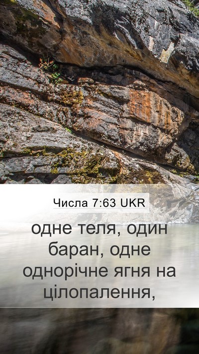 Числа 7:63 UKR Mobile Phone Wallpaper - одне теля, один баран, одне - Mobile Bible Verse Wallpaper
