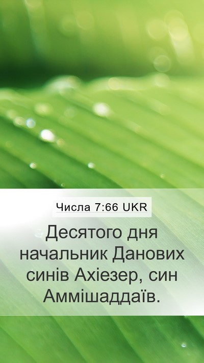 Числа 7:66 UKR Mobile Phone Wallpaper - Десятого дня начальник - Mobile Bible Verse Wallpaper