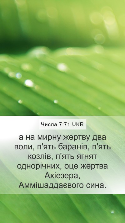 Числа 7:71 UKR Mobile Phone Wallpaper - а на мирну жертву два воли, - Mobile Bible Verse Wallpaper