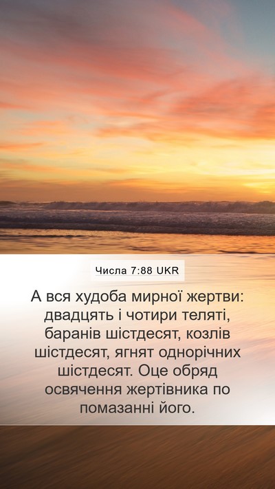 Числа 7:88 UKR Mobile Phone Wallpaper - А вся худоба мирної жертви: - Mobile Bible Verse Wallpaper