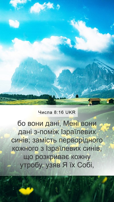 Числа 8:16 UKR Bible Verse Image