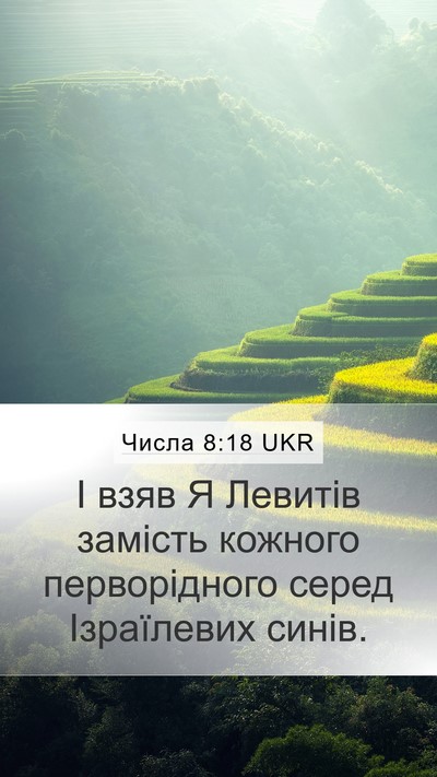 Числа 8:18 UKR Mobile Phone Wallpaper - І взяв Я Левитів замість - Mobile Bible Verse Wallpaper
