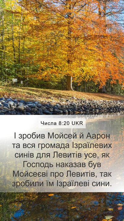 Числа 8:20 UKR Bible Verse Image