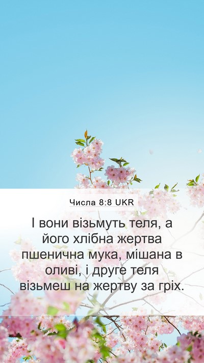 Числа 8:8 UKR Mobile Phone Wallpaper - І вони візьмуть теля, а - Mobile Bible Verse Wallpaper