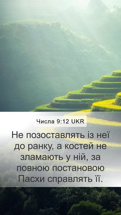 Числа 9:12 UKR Mobile Phone Wallpaper - Не позоставлять із неї до - Mobile Bible Verse Wallpaper
