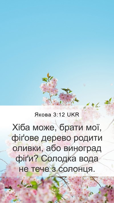 Якова 3:12 UKR Bible Verse Image