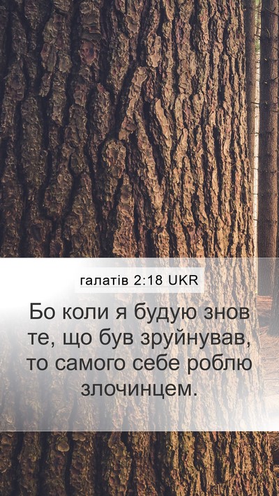 галатів 2:18 UKR Mobile Phone Wallpaper - Бо коли я будую знов те, що - Mobile Bible Verse Wallpaper