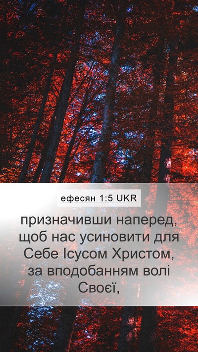 ефесян 1:5 UKR Bible Verse Image